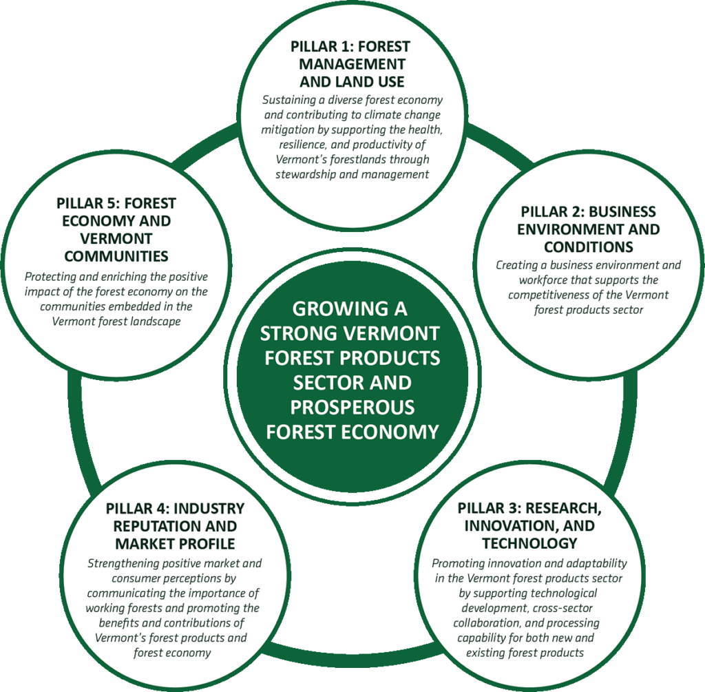 Final version of the strategic pillars