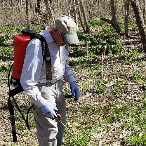 Conservation worker spraying in a forest in Lorain County
